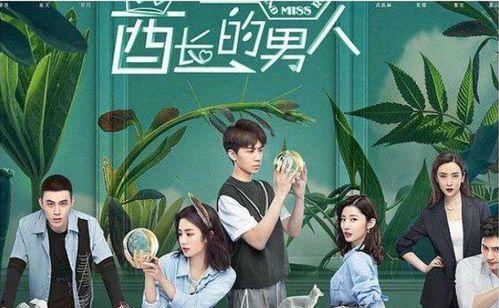 国产青春小甜剧片段视频,国产小甜剧片段，青春校园的甜蜜瞬间