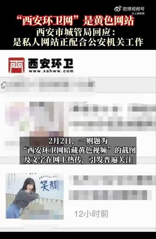 黄网站色视频国产免费,揭秘背后真相与监管挑战