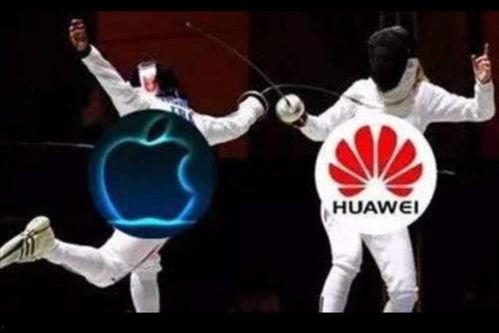 国产真实拳交视频网站,带你走进虚拟与现实交织的拳坛世界