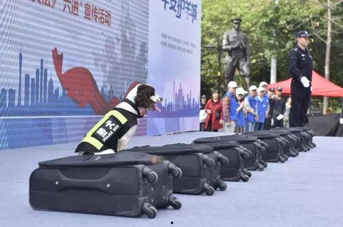 国产反恐宣传视频,守护和平，共筑安全防线  第3张