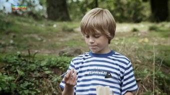 国产正太视频下载,青春风采尽收眼底  第2张